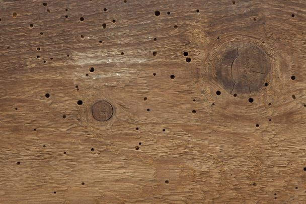 Puumato saastunut puutavara
 - Valokuva, kuva