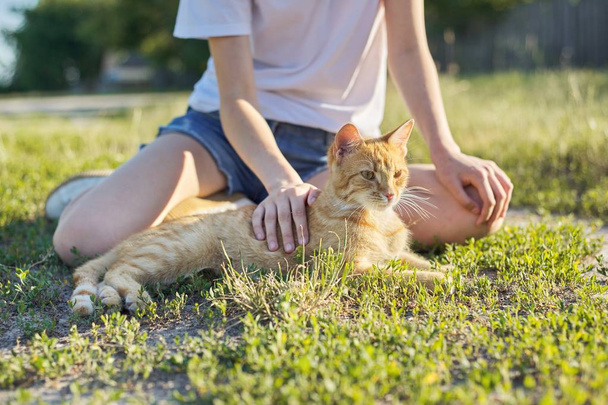 Gato rojo acostado sobre hierba con chica, día soleado de verano, naturaleza
 - Foto, Imagen