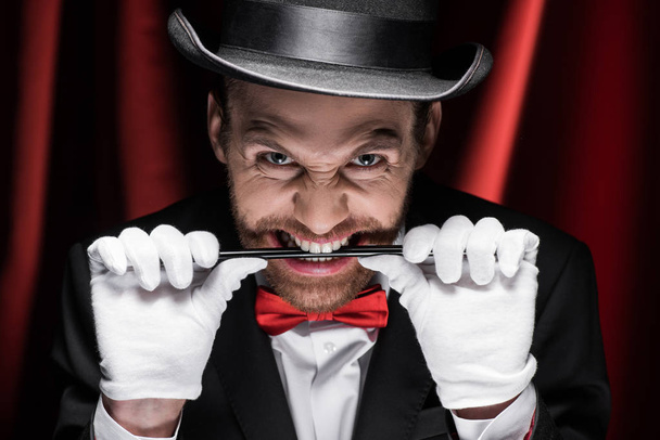 pohledný děsivý kouzelník v obleku a klobouk drží hůlku v zubech v cirkusu s červenými závěsy - Fotografie, Obrázek