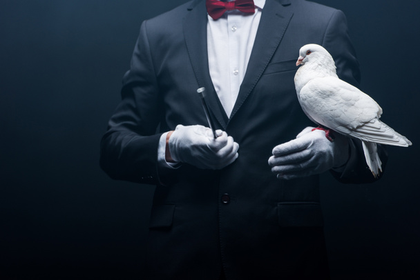 cropped view of magician holding dove and wand isolated on black - Φωτογραφία, εικόνα