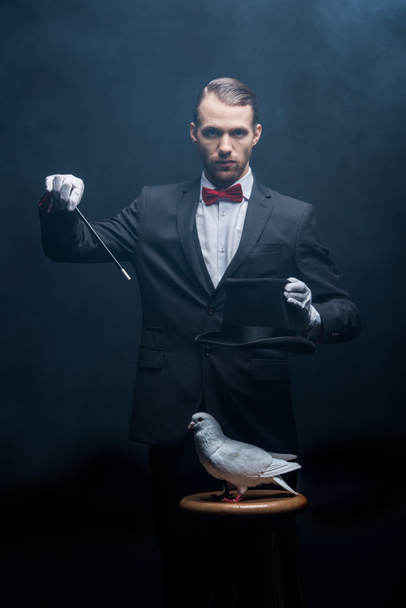 magicien montrant tour avec colombe, baguette et chapeau dans une pièce sombre avec de la fumée
  - Photo, image