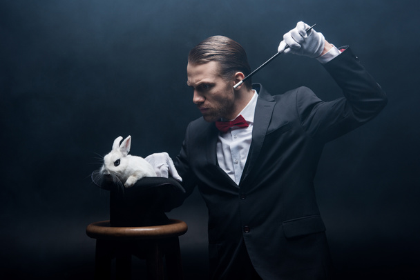 concentrated magician in suit showing trick with wand and white rabbit in hat, dark room with smoke - Foto, Imagen