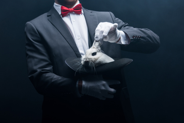 cropped view of professional magician showing trick with white rabbit in hat, in dark room with smoke - Photo, Image