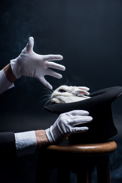 partial view of magician in gloves showing trick with white rabbit in hat, in dark room with smoke - Фото, изображение