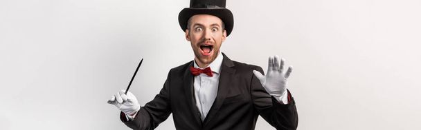 panoramic shot of excited magician in suit and hat holding wand, isolated on grey - Photo, Image