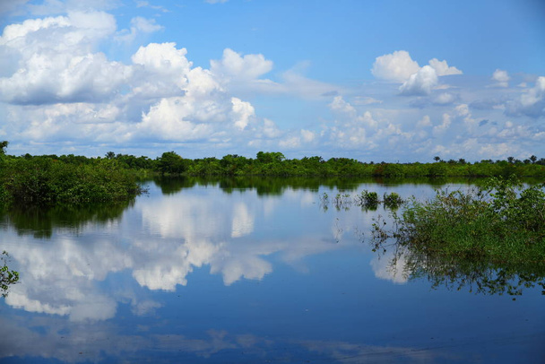  acque tranquille del Rio delle Amazzoni in Iquitos Perù - Foto, immagini
