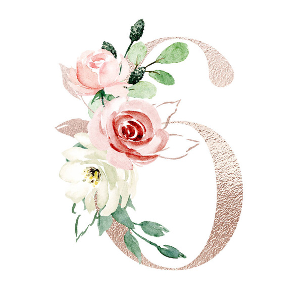 stylish number 6, art design hand drawn watercolor painting with floral  - Фото, зображення