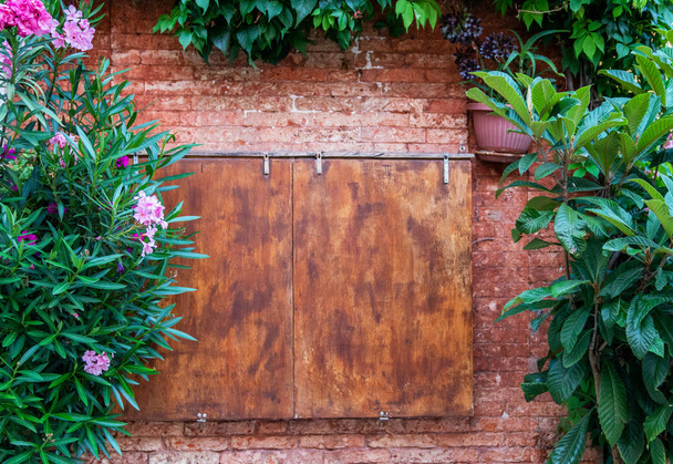 Old wooden box on a vintage brick wall with flowers in Venice - Foto, immagini