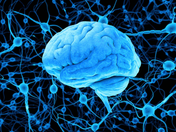 Blue human brain and neurons - Photo, Image