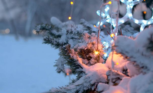 公園のクリスマスツリーで燃えているスパーカー - 写真・画像