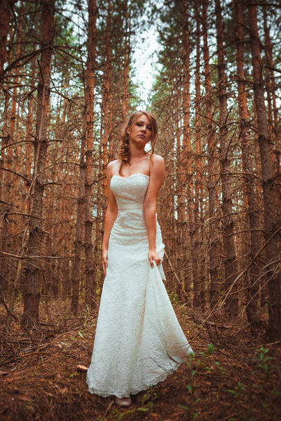 bride stands on the background of the forest of firs. - Zdjęcie, obraz