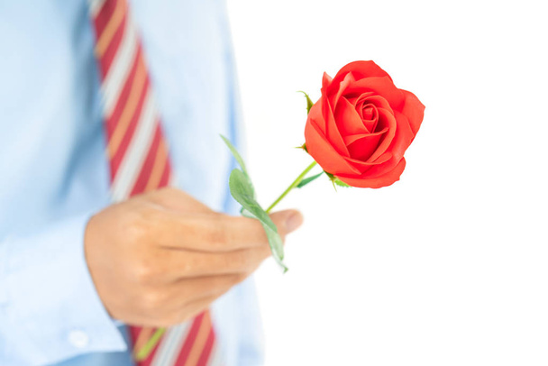 Close up photo of Man holding red roses in hand on white background - Foto, afbeelding