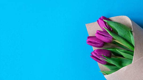 букет свіжих фіолетових тюльпанів на синьому фоні з вільним простором для тексту, вид зверху
 - Фото, зображення