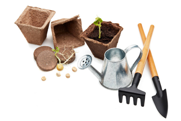 Still life with gardening tools, peat tablets and pots and young seedlings isolated on a white background. Concept of spring gardening, Vegetable growing. - Foto, Imagen