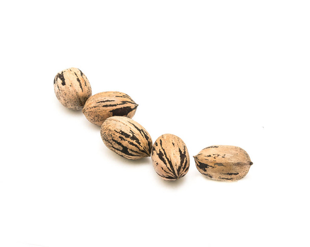 Studio shot heap of raw organic pecan nuts in-shell isolated on white - Photo, Image