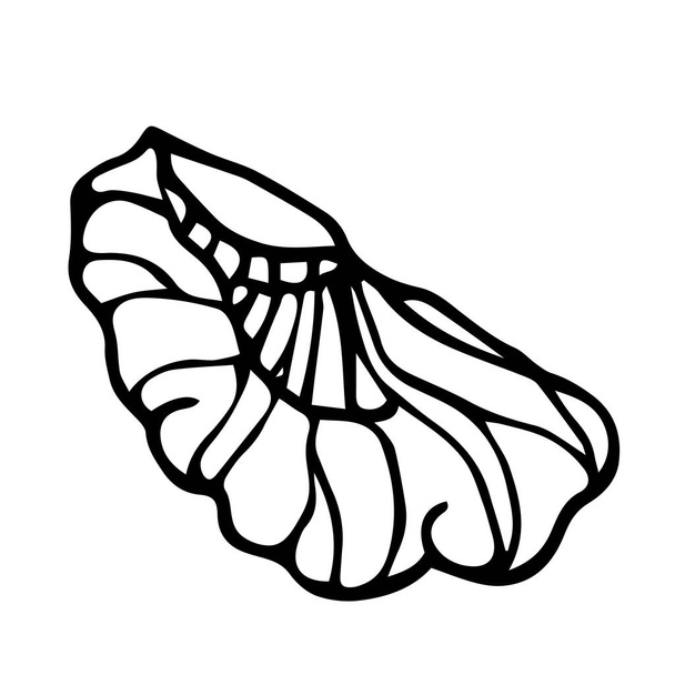 part of a walnut core, an element of a decorative ornament or pattern, vector illustration with black contour lines isolated on a white background in a Doodle and hand drawn style - ベクター画像
