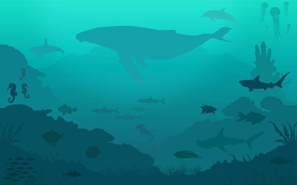 Ocean fish collection - Vector, Image