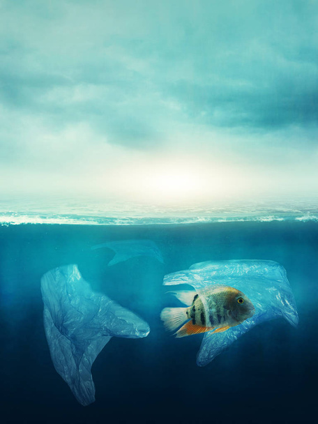 Plastic bag with a fish in the ocean. Pollution concept. - Foto, Imagen