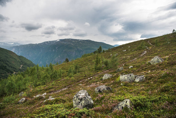Scenic luonto näkymä Norjaan kesällä
 - Valokuva, kuva