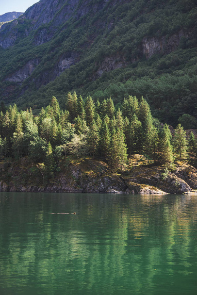 Scenic nature view of Norway in summer - Foto, Imagen