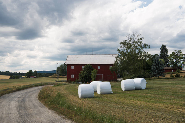αγροτική σκηνή με το πεδίο και τα σπίτια κάτω από το γαλάζιο του ουρανού, Hamar, Hedmark, Νορβηγία  - Φωτογραφία, εικόνα
