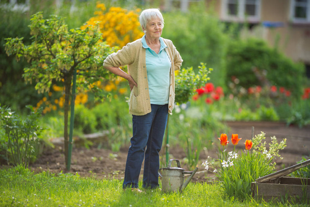 Senior woman doing some gardening in her lovely garden - watering the plants - Foto, immagini