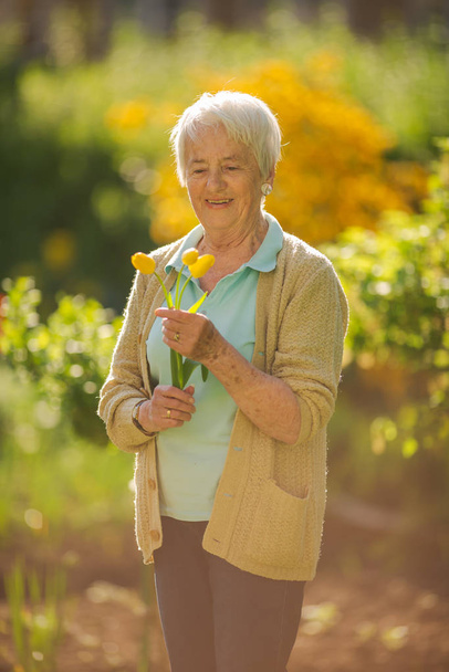 Senior woman doing some gardening in her lovely garden - watering the plants - Φωτογραφία, εικόνα