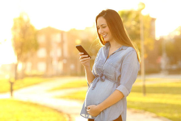 Portrait of a pregnant woman using a smart phone standing in a park at sunset - Foto, immagini