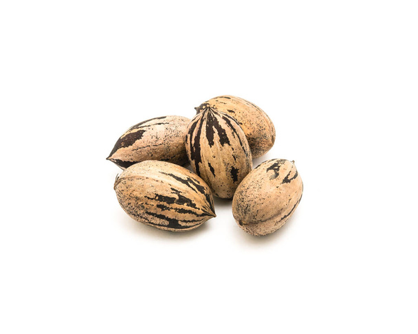 Studio shot heap of raw organic pecan nuts in-shell isolated on white - Photo, Image