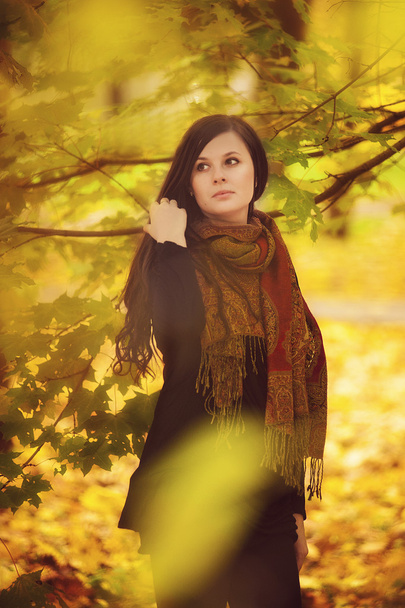 Adorable woman in autumn park - Fotoğraf, Görsel