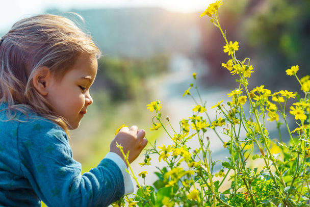 Profile portrait of a sweet little baby enjoying flowers aroma, having fun in the spring park, beauty and freshness of a small yellow wildflowers - Fotografie, Obrázek