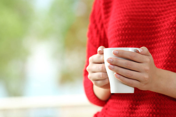 Close up of a woman wearing red sweater with hands holding a coffee cup beside a window with a green background - Photo, Image