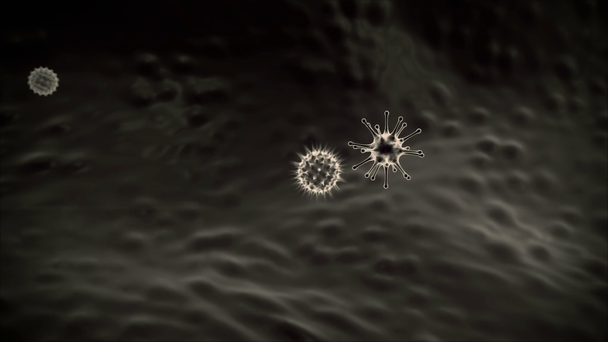 Makrophagen und Viren, Makrophagen töten die Viren, 3D gerenderte Makrophagen und Viren, im menschlichen Körper, medizinischer Videohintergrund, Viren im menschlichen Körper, menschliches Immunsystem greift das Virus an  - Filmmaterial, Video