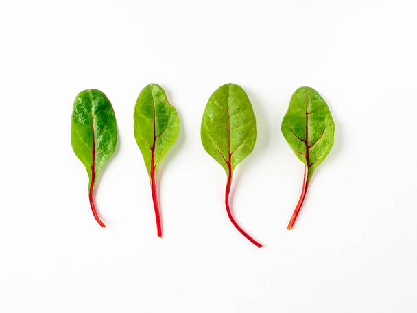 Set of four fresh green chard leaves or mangold salad leaves on white background. Flat lay or top view fresh baby beet leaves, isolated on white background with clipping path. - Fotoğraf, Görsel