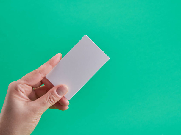white paper business card in a female hand on a green background - 写真・画像