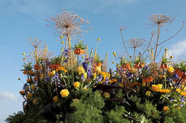 Floristic decoration with tropical flowers against a blue sky - Foto, afbeelding