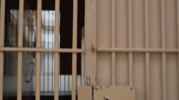 steel door in the prison corridor with bars - Záběry, video