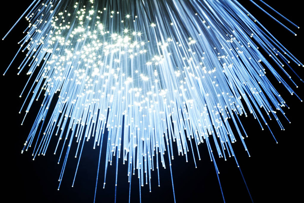 A bundle of optical fibers creates points of light in the dark. - Фото, зображення