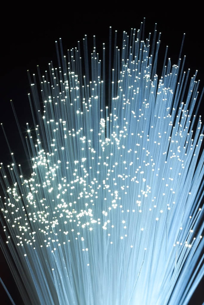 A bundle of optical fibers creates points of light in the dark. - Foto, afbeelding