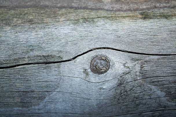 old wood texture with natural patterns - Foto, afbeelding