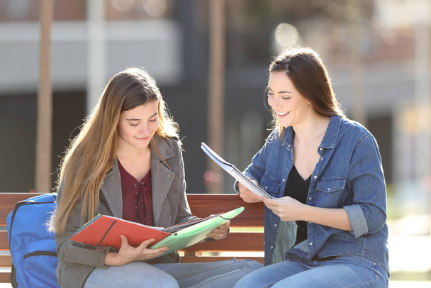 Two happy students studying reading notes sitting on a bench in a park - 写真・画像