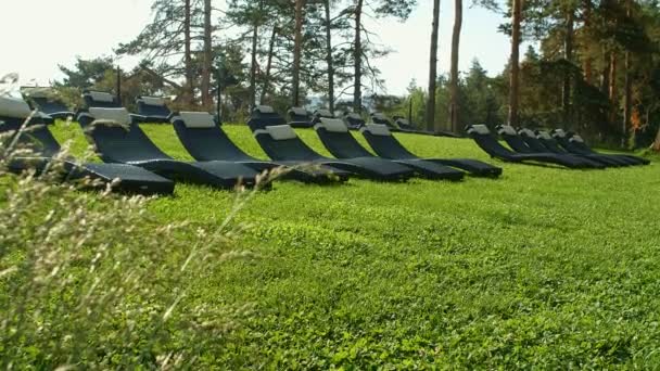 Molte Chaise Longues in fila su un'erba verde in montagna, 4k
 - Filmati, video