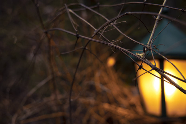 linterna de iluminación naranja silueta desenfocada forma en jardín ambiente al aire libre cálido y acogedor otoño colores crepúsculo iluminación concepto abstracto imagen
 - Foto, Imagen