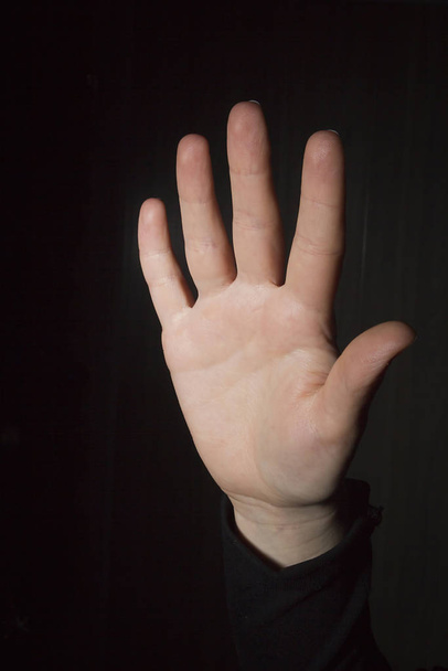 Female open hand - Foto, afbeelding