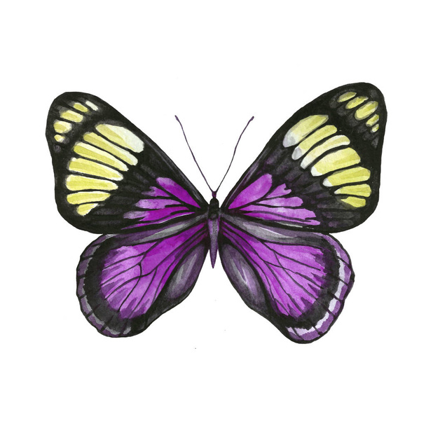 Butterfly pattern in yellow and pink colors - Foto, imagen