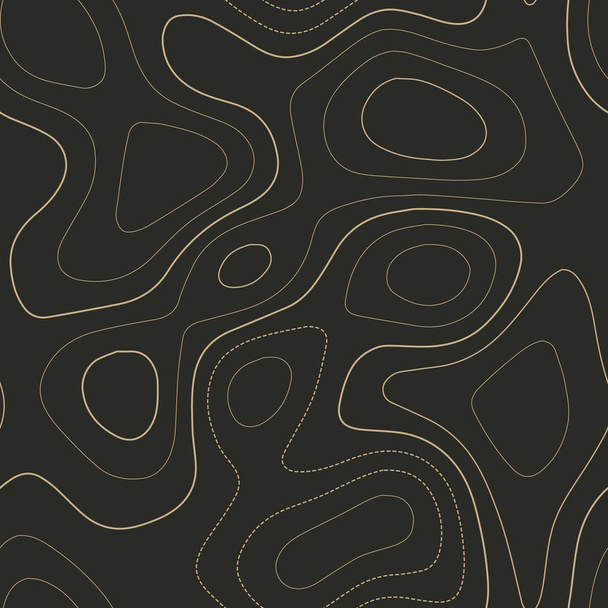 Contour lines Admirable topography map Seamless design Elegant tileable isolines pattern vector - Vector, Image