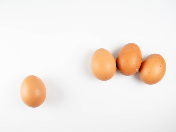  uovo su sfondo bianco - Foto, immagini