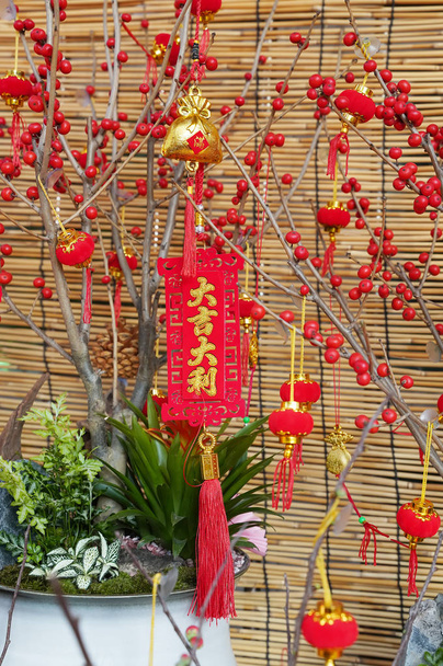 Glücksknoten hängen an Blume zum chinesischen Neujahrsgruß, chinesisches Zeichen bedeutet guten Segen für das neue Jahr - Foto, Bild