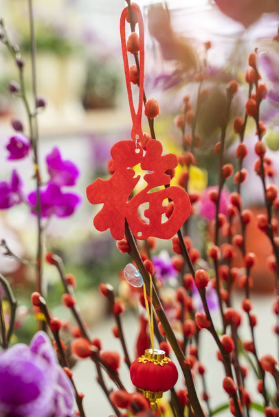 Glücksknoten hängen an Blume zum chinesischen Neujahrsgruß, chinesisches Zeichen bedeutet guten Segen für das neue Jahr - Foto, Bild
