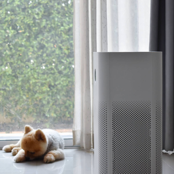 čistič vzduchu systém čištění prachu pm 2.5 znečištění v obývacím pokoji s roztomilým psem doma - Fotografie, Obrázek
